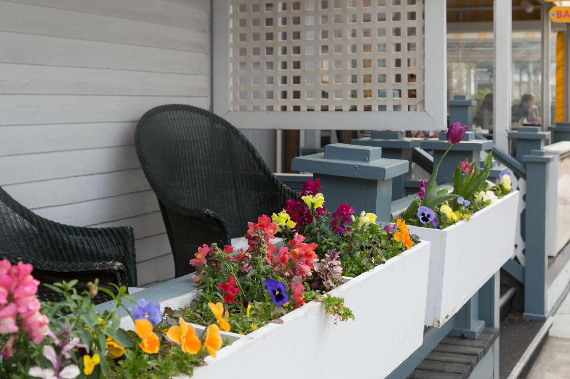 The Carroll Villa Hotel 케이프 메이 외부 사진